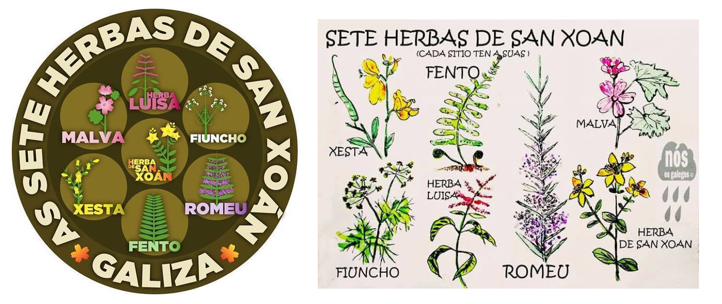 Duas versions das Herbas de San Xoan-Mario Maceiras e Orgullo Galego