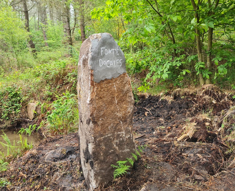 Pintadas no menhir de Monte Xalo