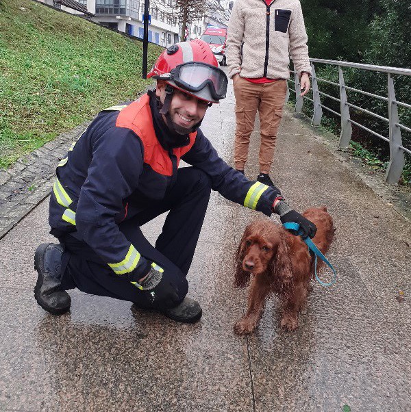 Rescatan en Cambre a un can que se caeu á Ría do Burgo