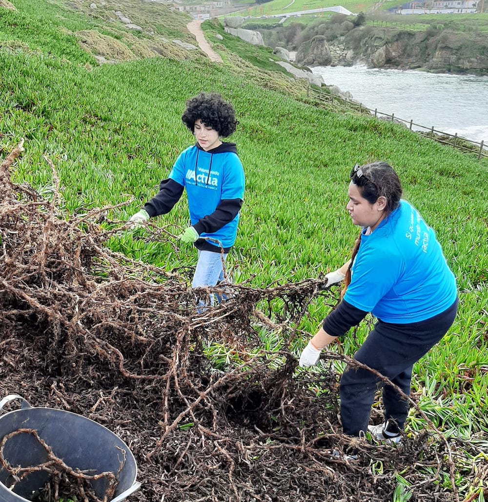 Retirada Unlla de gato na Torre Hércules 1 copia