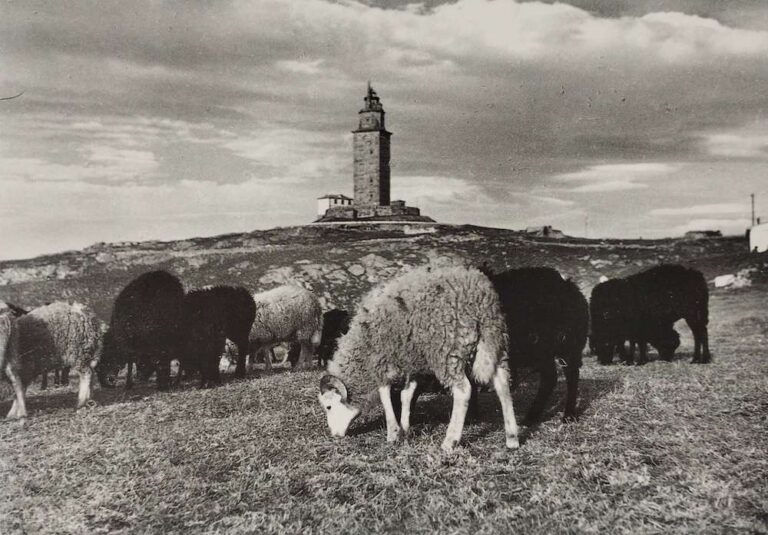 Torre de Hércules e ovellas, Alberto Martí, 1949