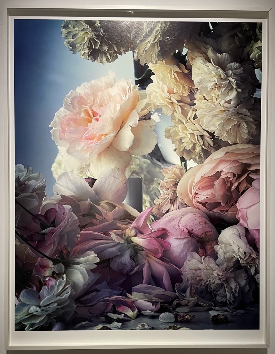 Exposicion Roses from my garden de Nick Knight na Fundación Barrie