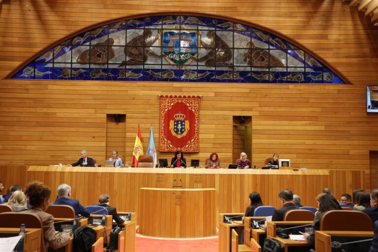 Unanimidade no Parlamento para pedir á Xunta coordinarse co Concello de Oleiros para mellorar unha estrada
