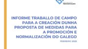 Informe Medidas para o Galego AMEGA 2025 copia