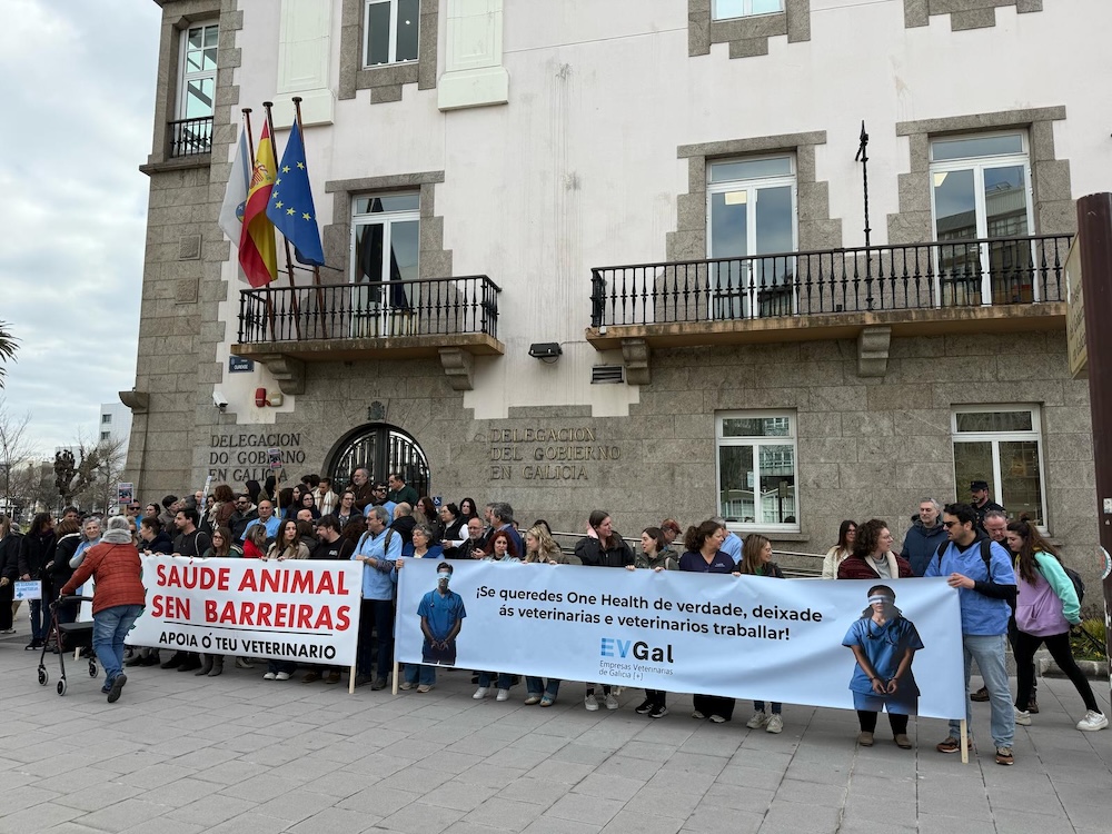 nova concentracion dos veterinarios