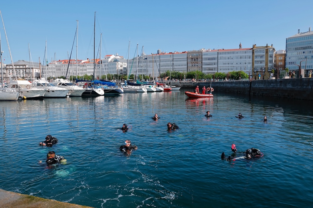 Limpeza da Marina no Festival Mar de Mares