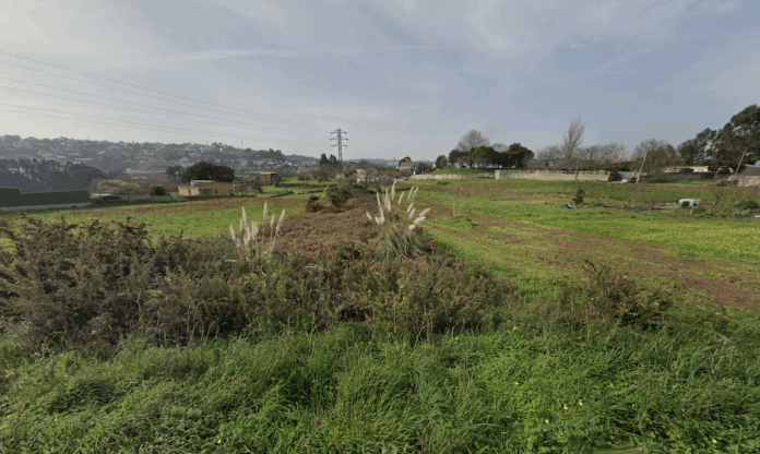 Zonas do Monte Mero