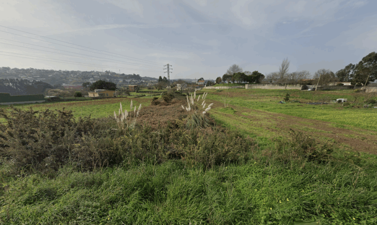 Zonas do Monte Mero