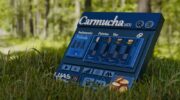 Carmucha vst copia