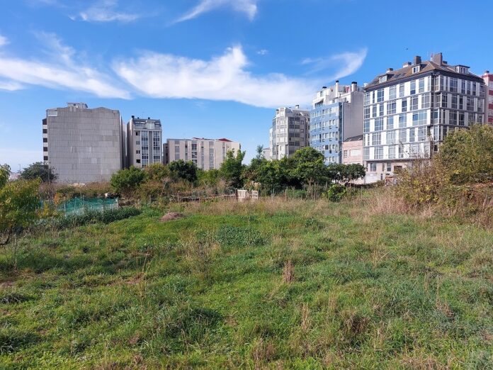 Espazo onde vai ir a nova urbanizacion do Castrillón