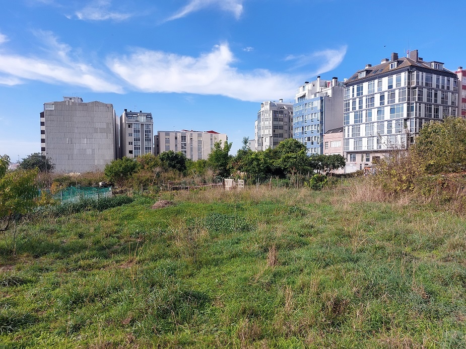 Espazo onde vai ir a nova urbanizacion do Castrillón