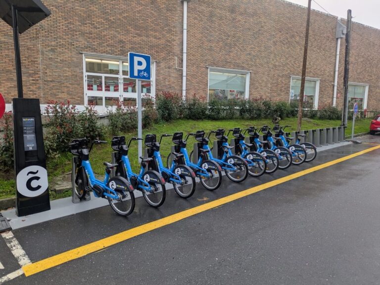 Bicicoruna Palavea copia