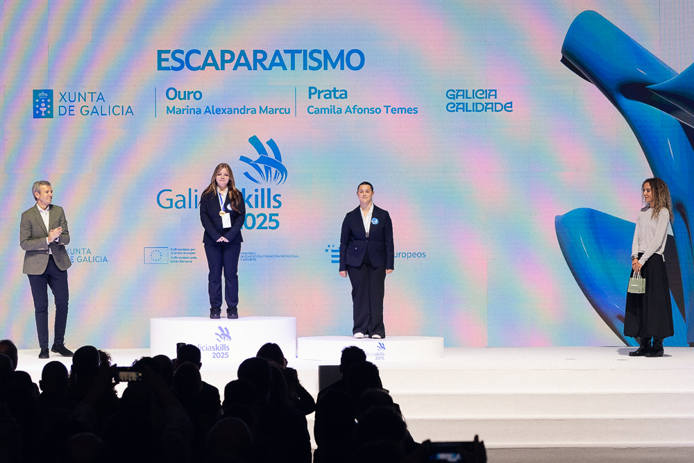 Marina Alexandra Marcu-IES Menendez Pidal-escaparatismo-Galicia Skills