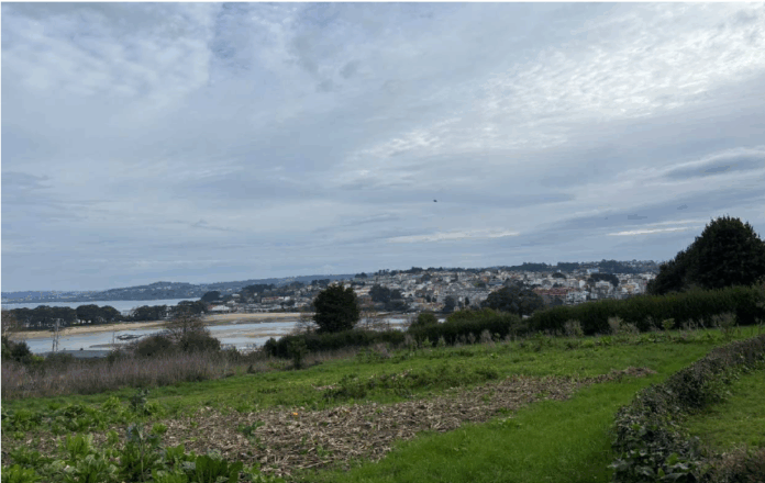 Monte Mero, onde se proxecta crear outra macrourbanización que poría en perigo o anel verde da cidade / Adega