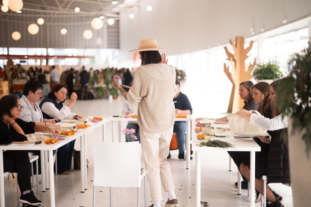 8_11_25_LamaZeta_taller