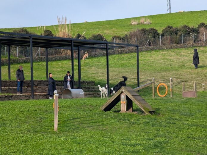 Area Canina de Bens-Coruna