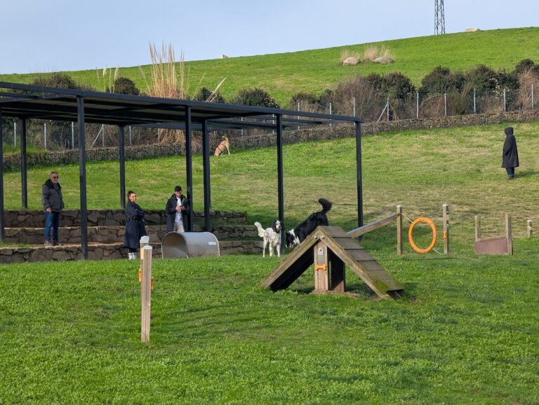 Area Canina de Bens-Coruna