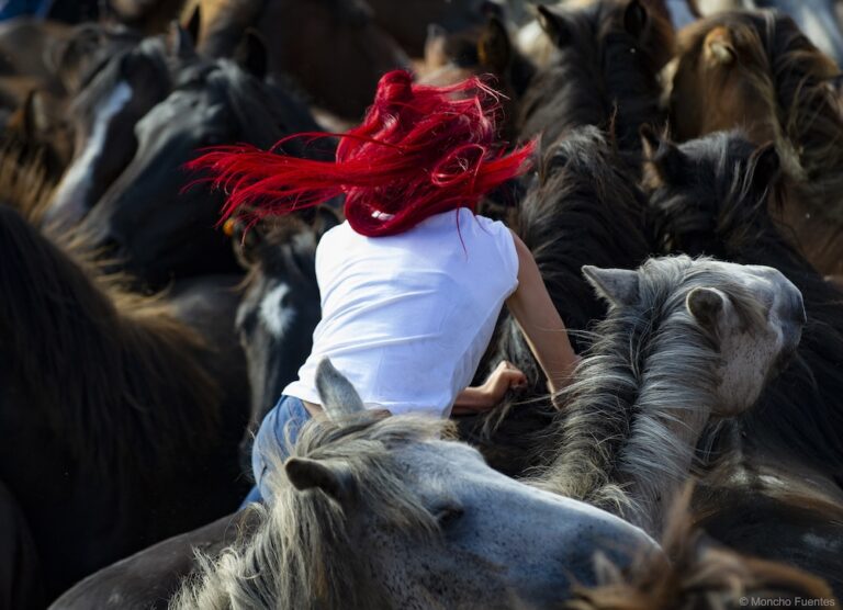 Foto da Rapa das Bestas de Moncho Fuentes
