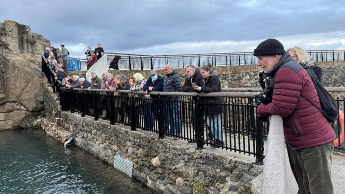 UNED SENIOR CORUÑA no Aquarium Finisterrae