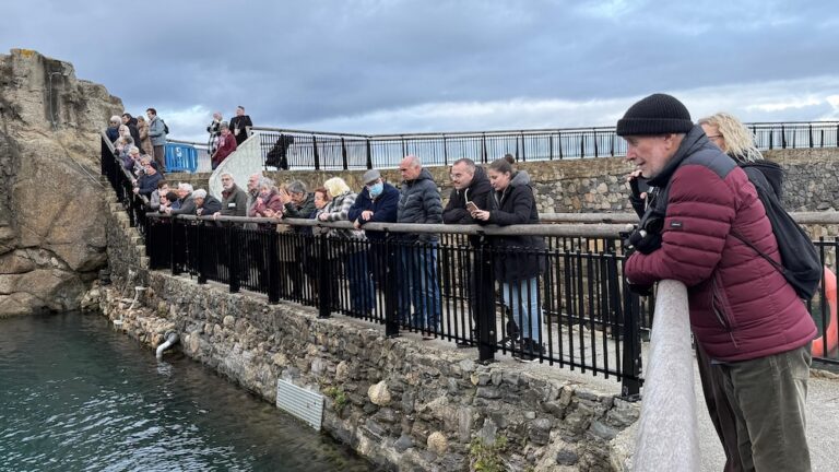 A UNED Senior Coruña retoma o curso cunha visita ao Aquarium Finisterrae