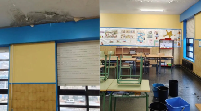 Pingueiras nas aulas do CEIP Wenceslao Fernández Flórez