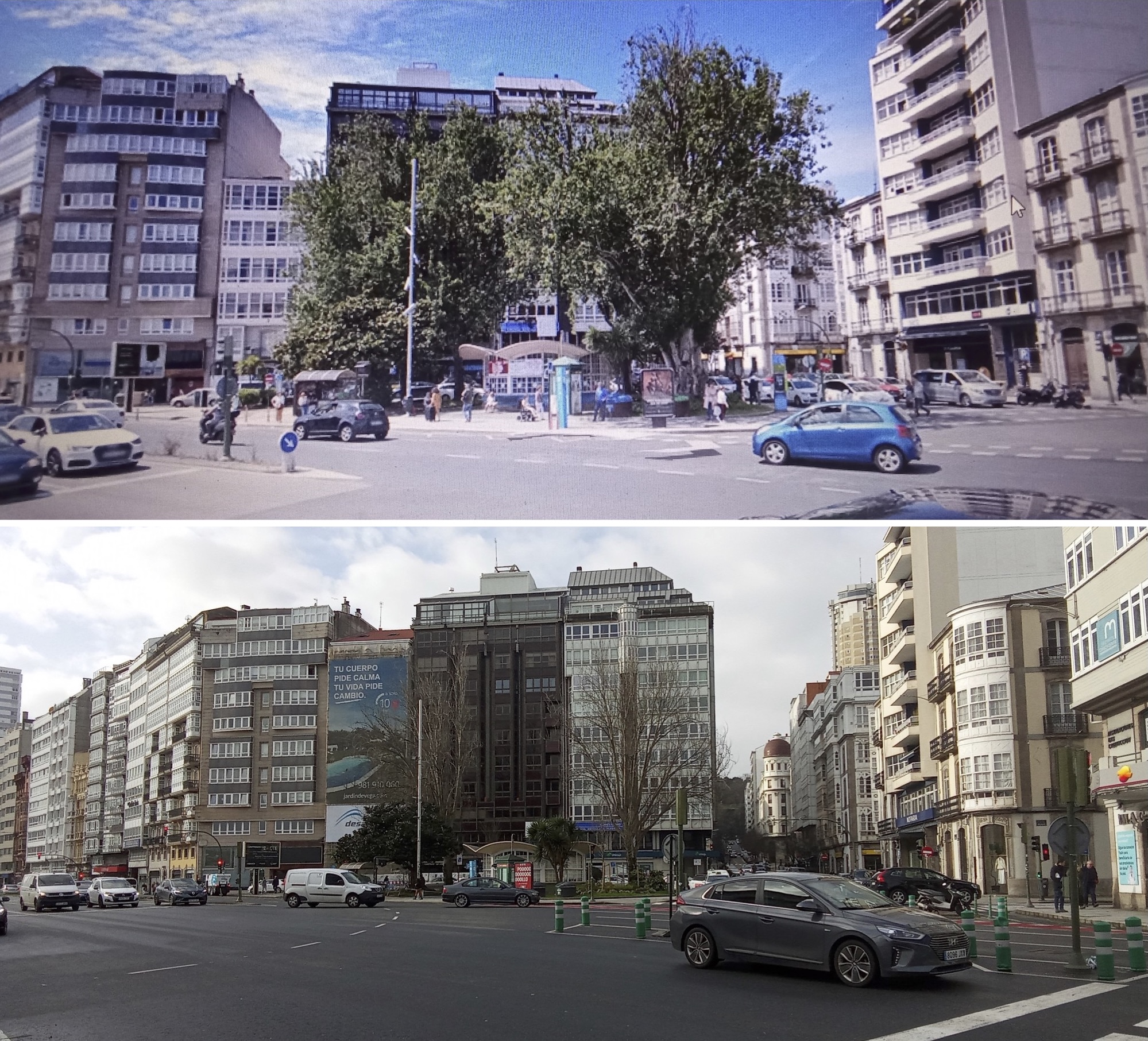Arboricidio na Praza de Ourense