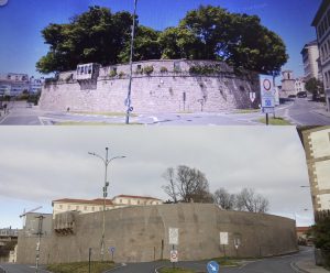 Arboricidio nos Xardins de San Carlos