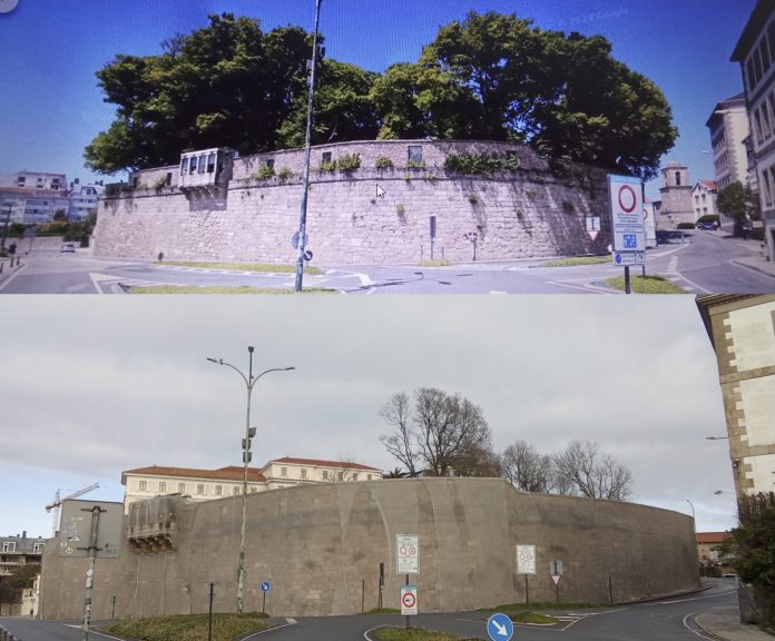 Arboricidio nos Xardins de San Carlos