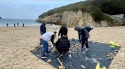 Proxecto entre Crebas no Areal da Torre