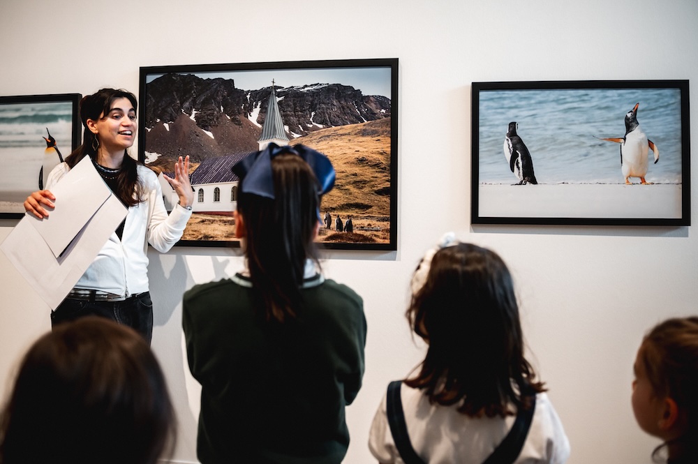 Visitas guiadas a exposicion Comedy Wildlife do EMJHU26@leolopezfoto EMHU2