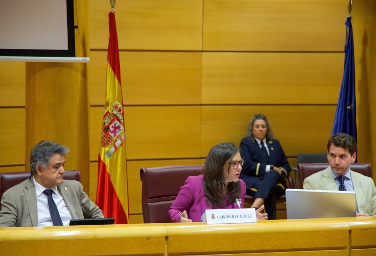 Córdoba e A Coruña enfrontan no Senado os seus plans de vivenda: aumento de oferta fronte á intervención do mercado