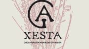 Xesta_Carta_de_Principios copia