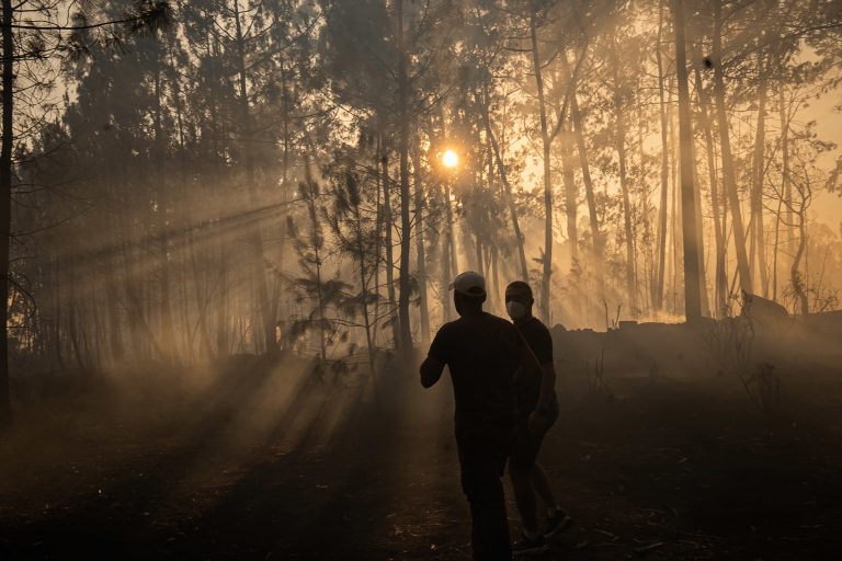 A prevención de incendios na Coruña recibirá máis de dous millóns de euros