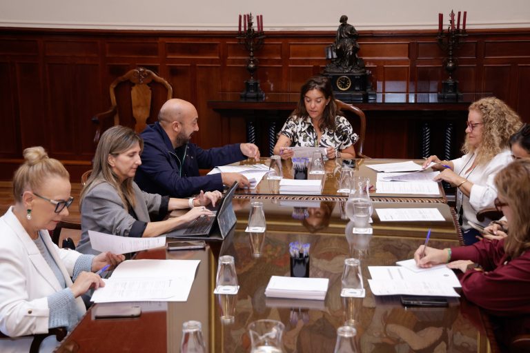 A Coruña solicitará máis de 234.000 euros á Deputación para mellorar a iluminación e a rede de saneamento