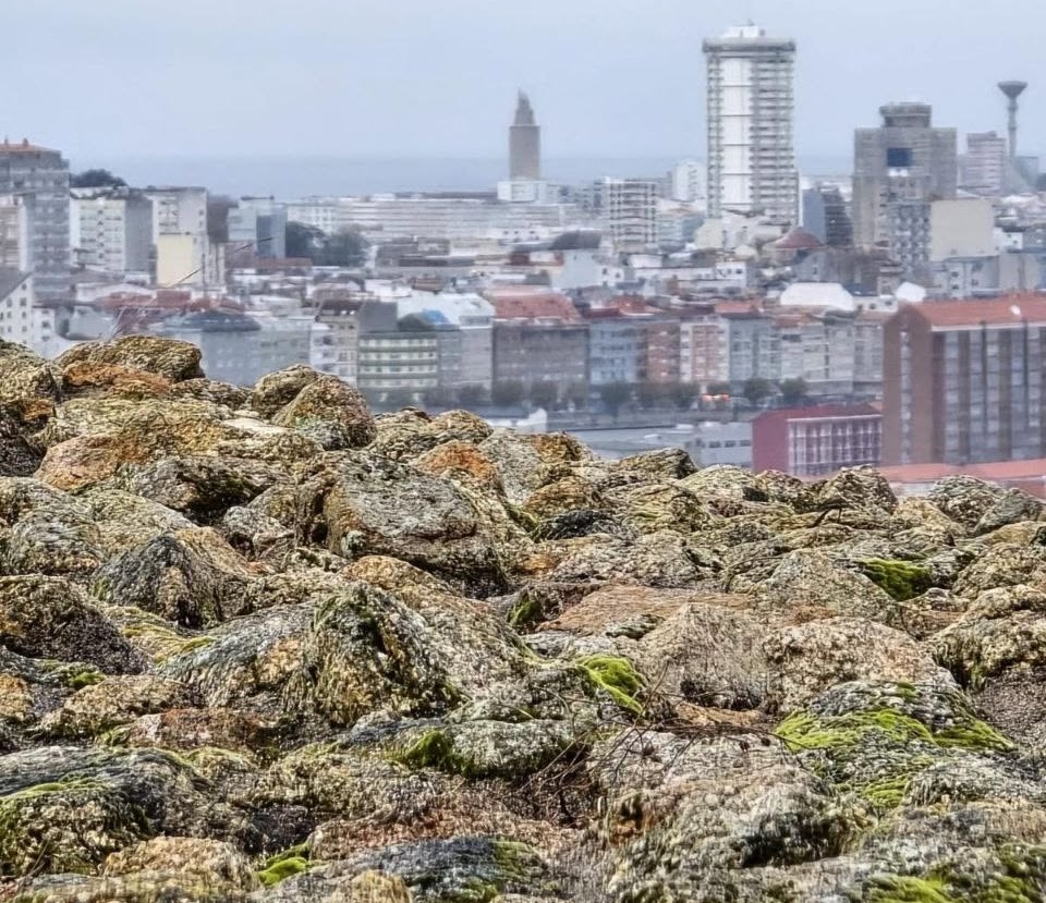 Vistas da Coruna dende o MOnte dos Crutos Castro Elvina